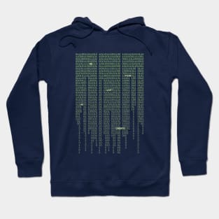 Singularity Matrix Hoodie